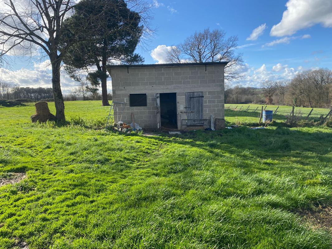 PALLUAU-SUR-INDRE Maison Palluau Sur Indre 4 pièce(s) 100 m2 8