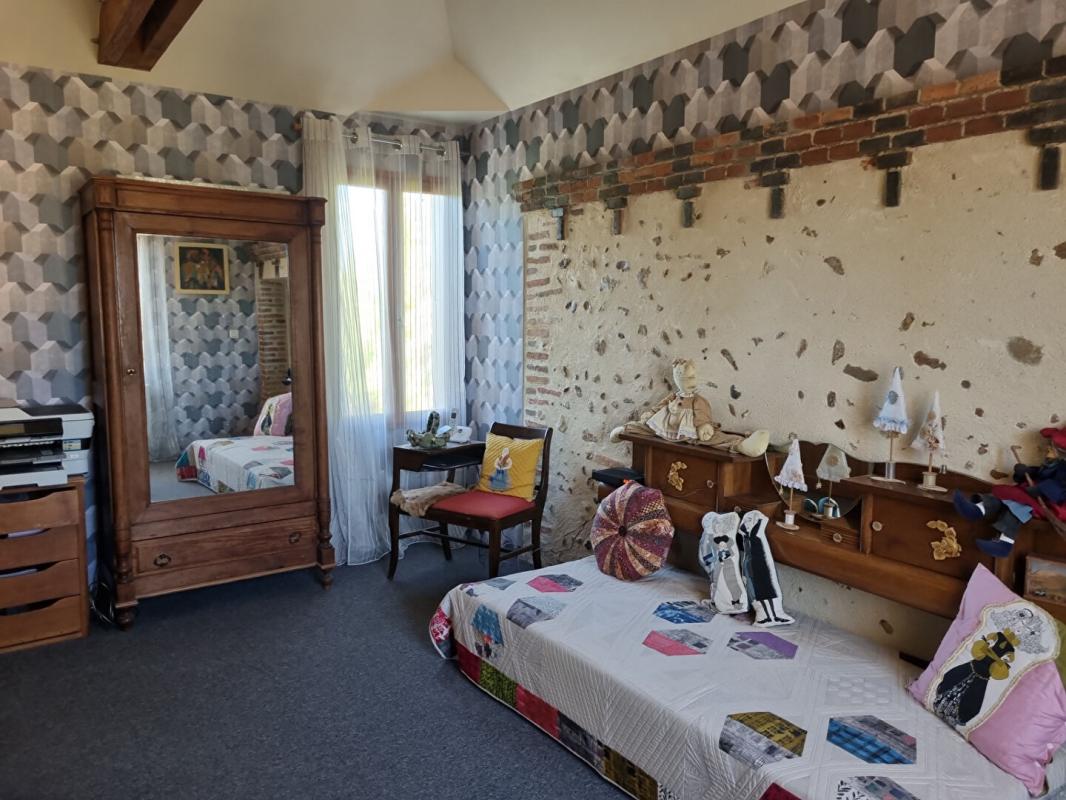 SAINT-BENOIT-SUR-LOIRE PROPRIETE DE CHARME 10