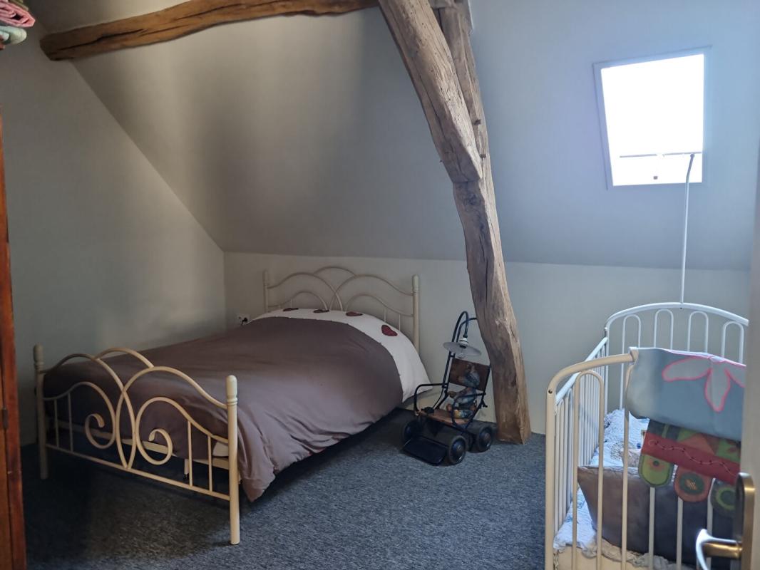 SAINT-BENOIT-SUR-LOIRE PROPRIETE DE CHARME 11