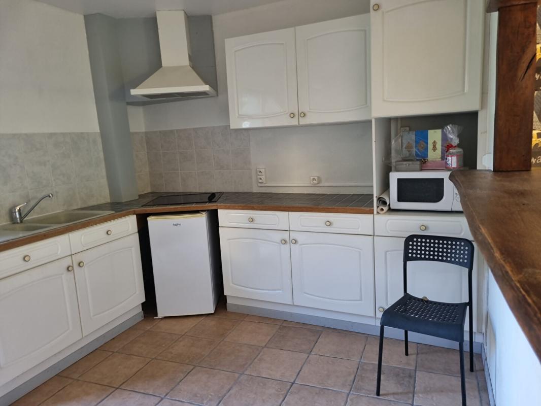 SAINT-BENOIT-SUR-LOIRE PROPRIETE DE CHARME 14