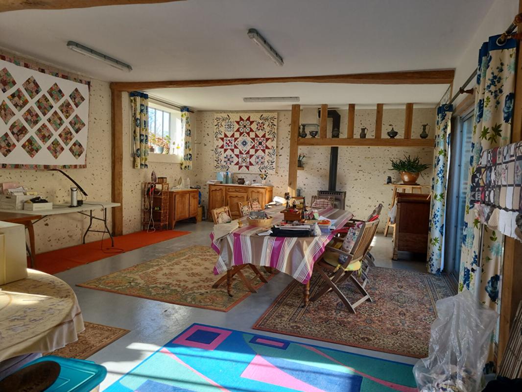 SAINT-BENOIT-SUR-LOIRE PROPRIETE DE CHARME 15