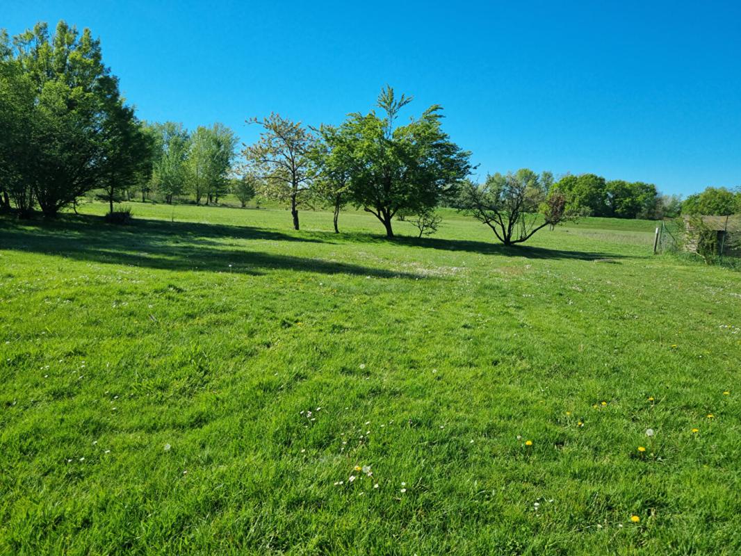 SAINT-BENOIT-SUR-LOIRE PROPRIETE DE CHARME 17