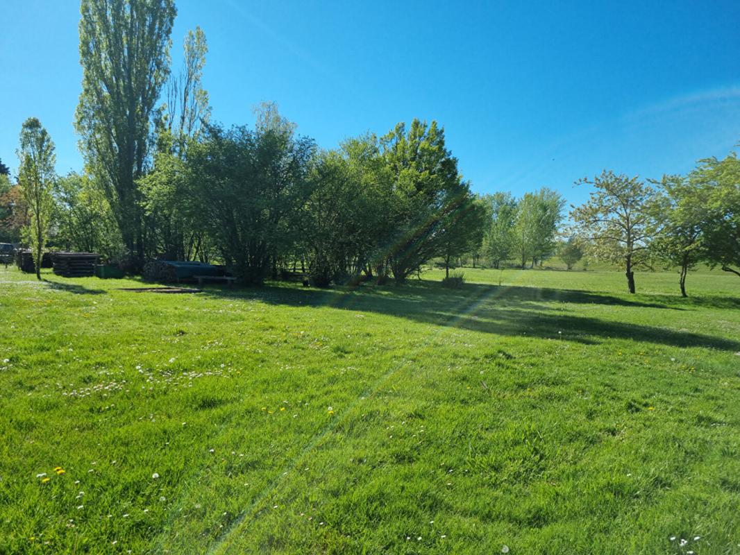 SAINT-BENOIT-SUR-LOIRE PROPRIETE DE CHARME 18