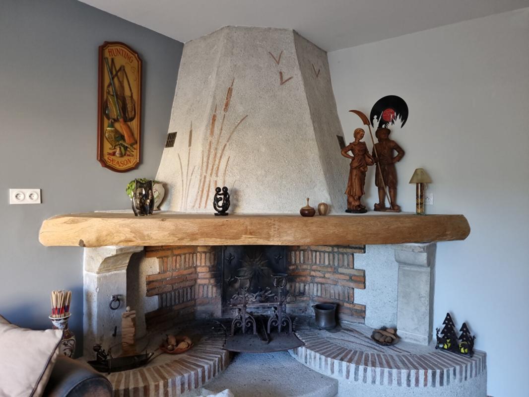 SAINT-BENOIT-SUR-LOIRE PROPRIETE DE CHARME 7