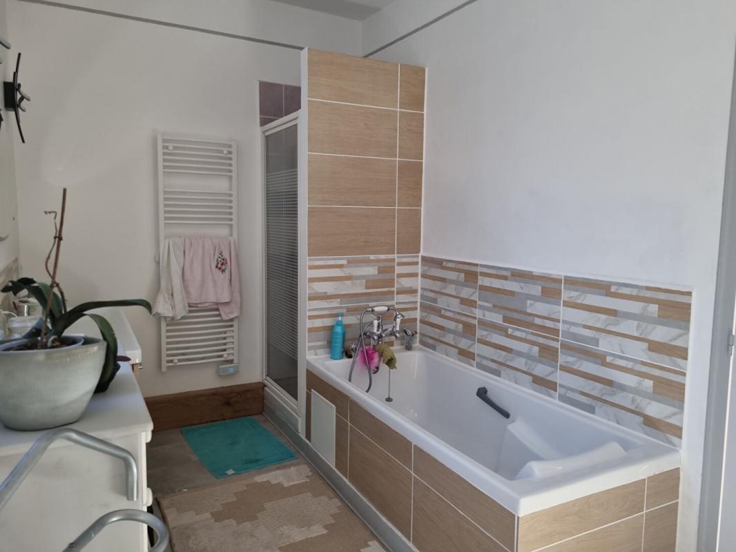 SAINT-BENOIT-SUR-LOIRE PROPRIETE DE CHARME 9