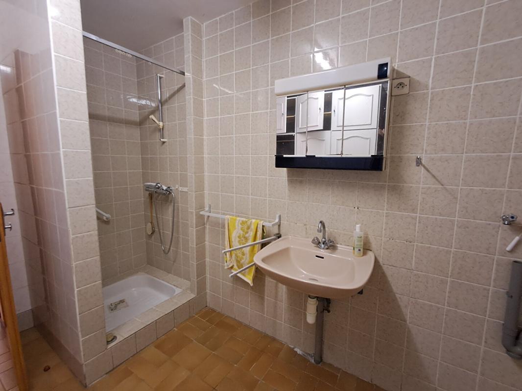 XANTON-CHASSENON PROPRIÉTÉ  EN PLEINE CAMPAGNE  (187 m² ) 11 PIÈCES  FORT POTENTIEL 10