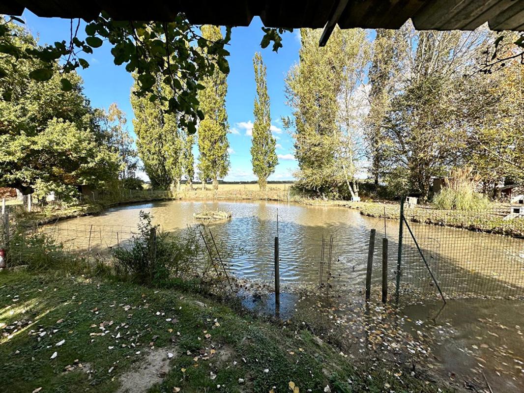 PRESNOY A VENDRE à 1h de PARIS - SUPERBE PROPRIETE avec PISCINE, MARE, DEPENDANCES, TERRAIN 2,3 HECTARES 16