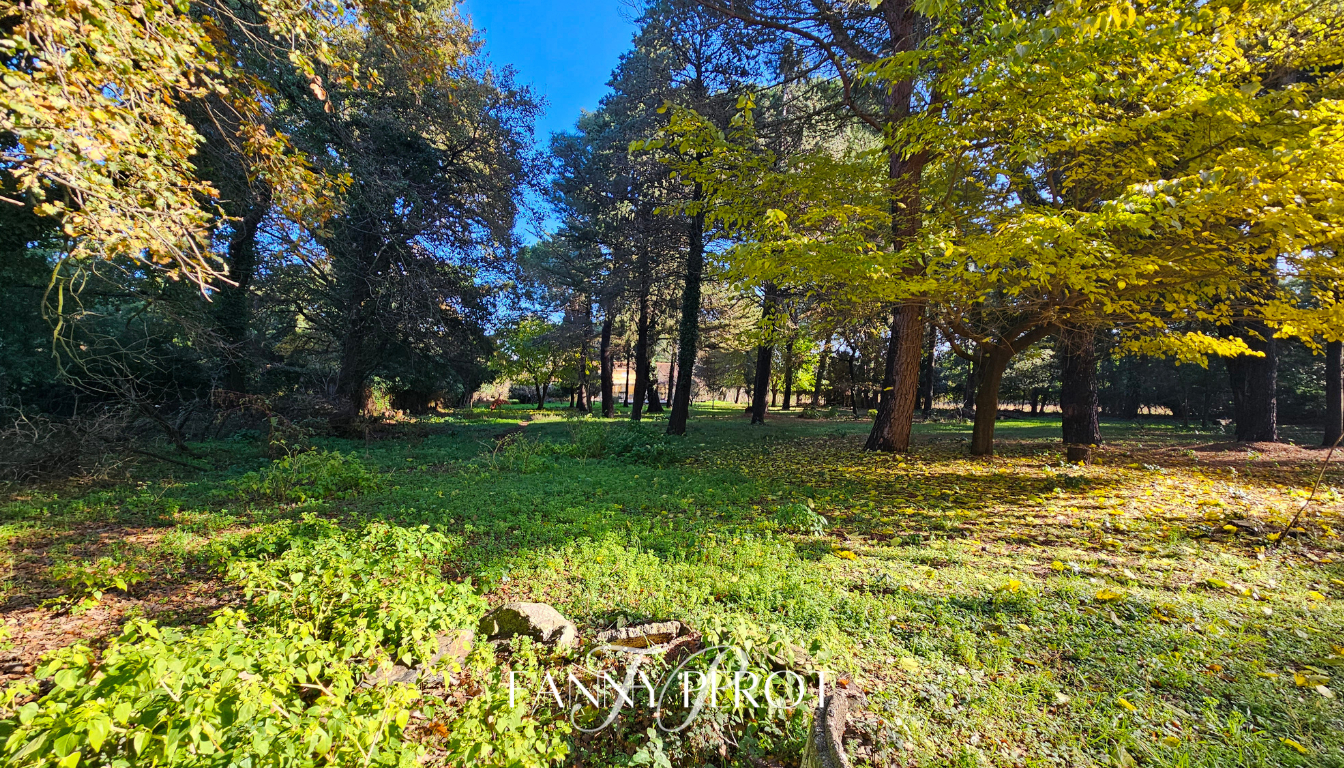 ARGELES-SUR-MER A Argelès, maison de caractère de 220 m² sur grande parcelle arborée avec piscine 17