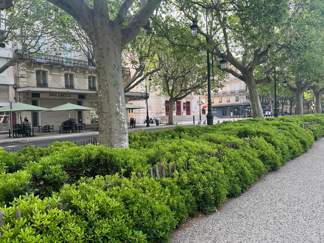 SETE Appartement  secteur théatre Sete 2 pièces 1