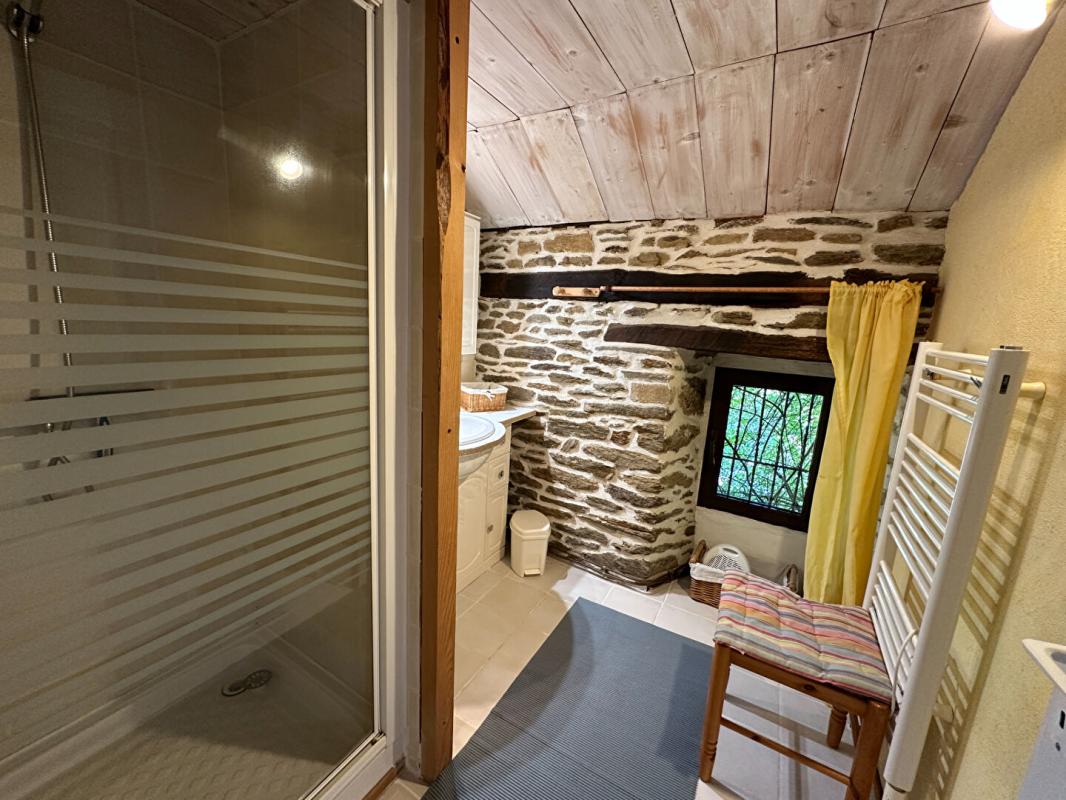 SAINT-ANDRE-LACHAMP Maison Saint Andre Lachamp 16 pièce(s) 300 m2 18