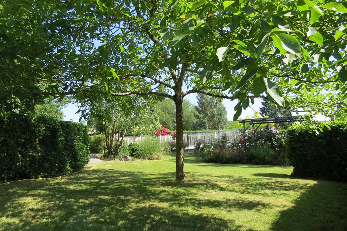FONTENAY-LE-COMTE Maison de famille de caractère, jardin et piscine 5