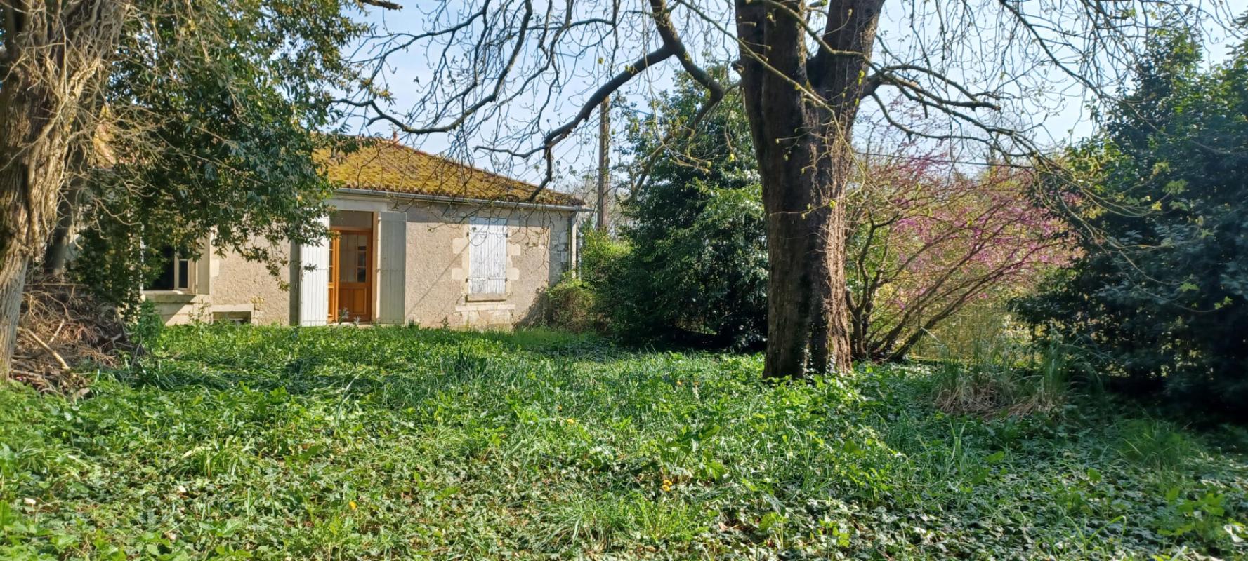 FONTENAY-LE-COMTE MAISON de Maîtres,  Charme et authenticité 15
