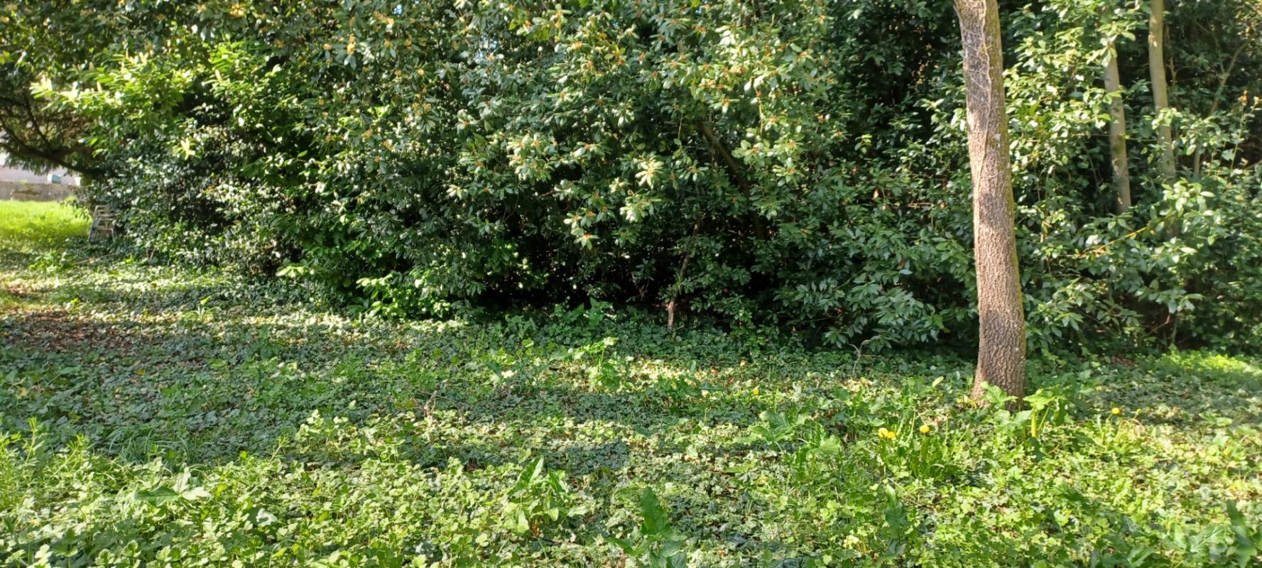 FONTENAY-LE-COMTE MAISON de Maîtres,  Charme et authenticité 16