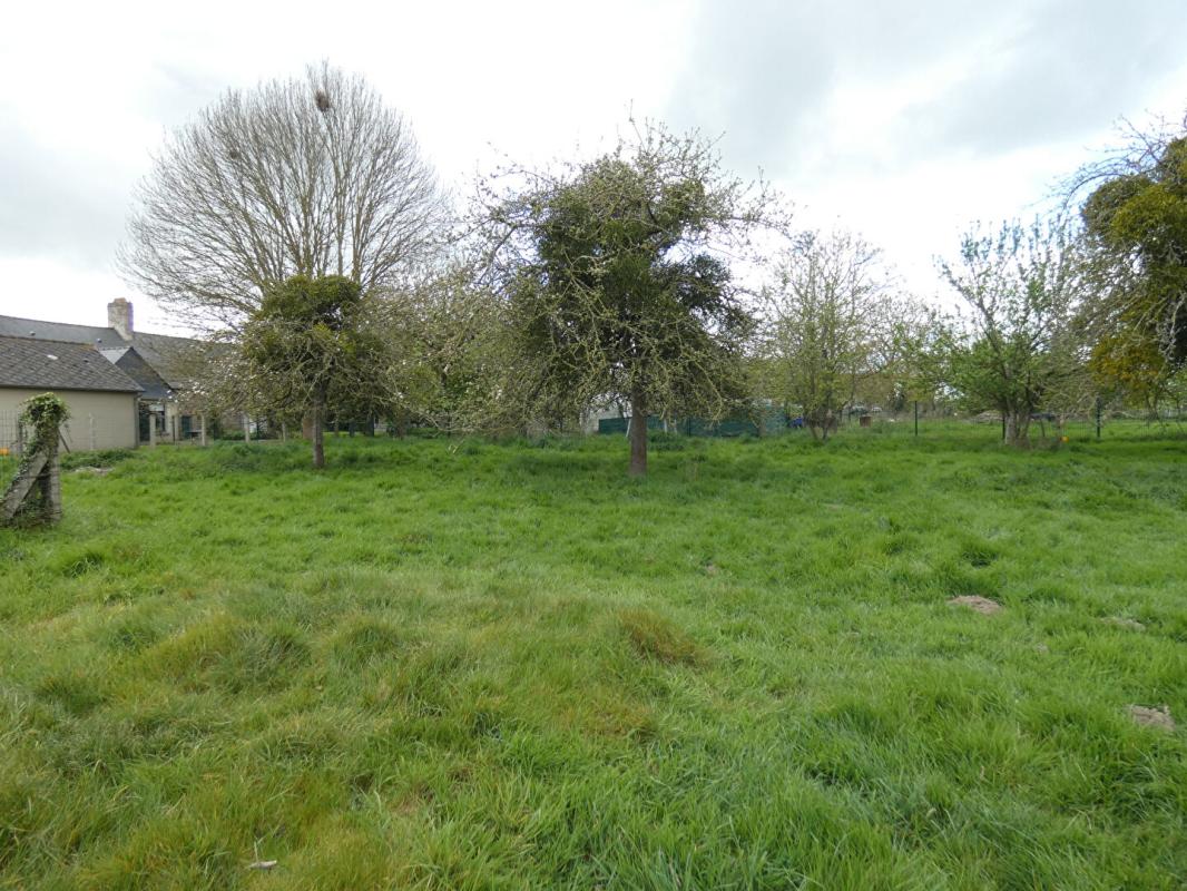 DOL-DE-BRETAGNE Très beau terrain constructible de 556m2, borné et très agréable ! 2