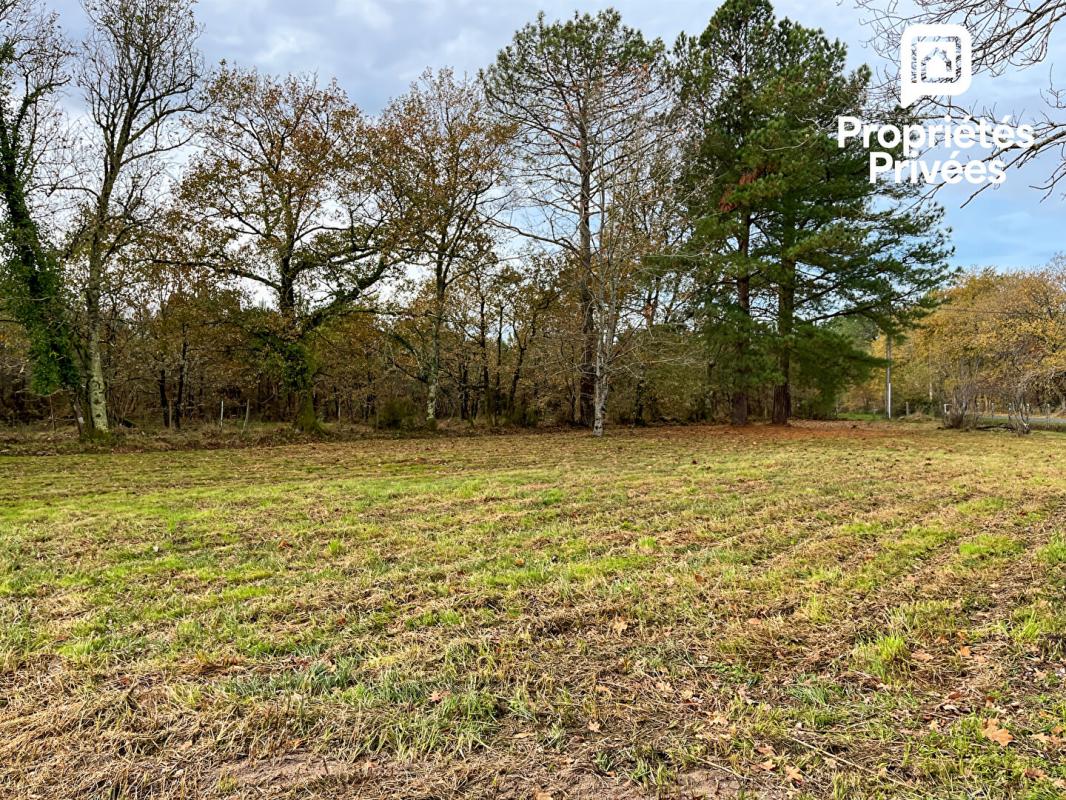 AUDENGE Maison neuve 3 pièces plain-pied 61 m² avec terrain plus de 3000 m² 14