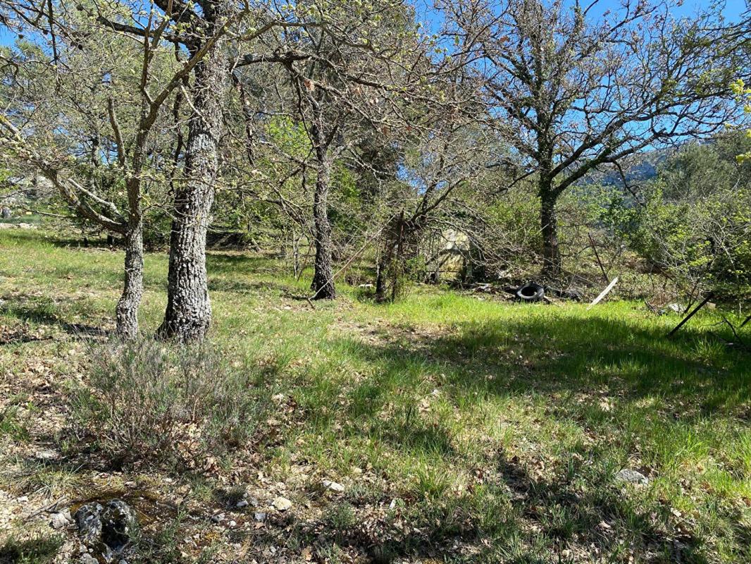 PLAN-D'AUPS-SAINTE-BAUME Terrain Plan D Aups Sainte Baume 2000 m2 3