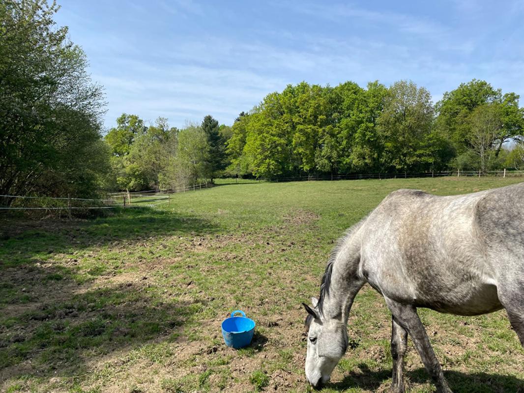 SAINT-AUVENT Maison Saint Auvent 7 pièce(s) 217m2 4