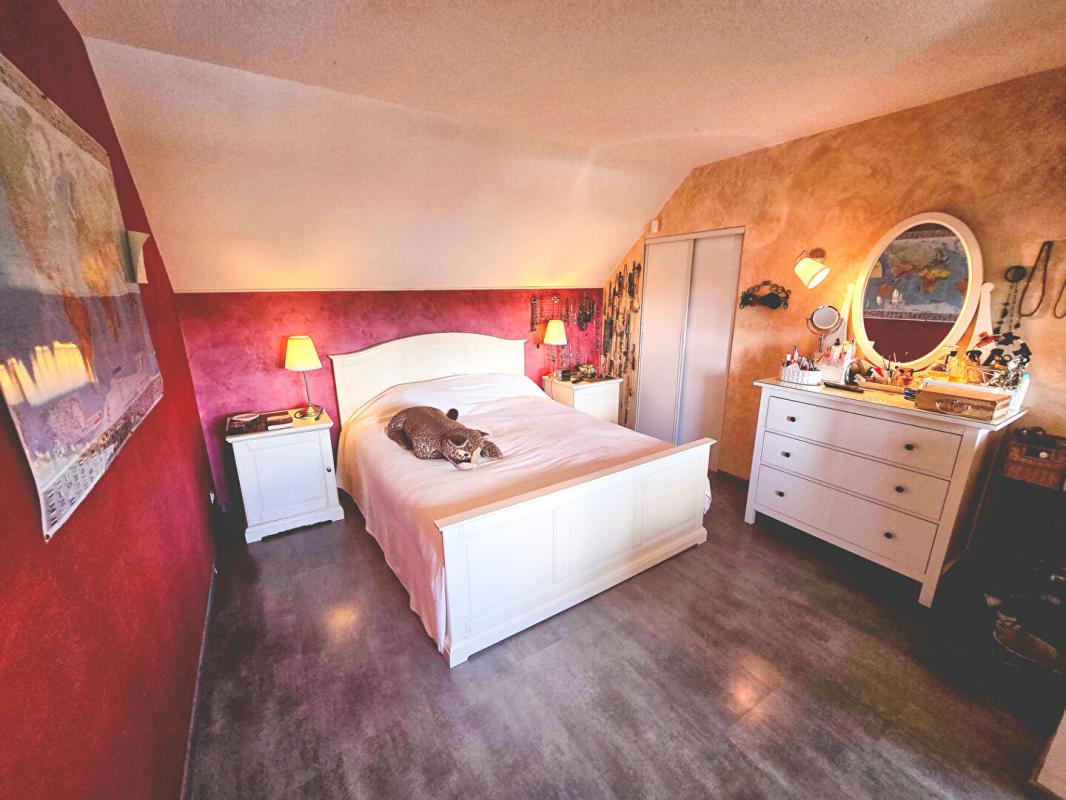 FRONTON Maison T5 - Fronton - Jardin arboré et Piscine 10