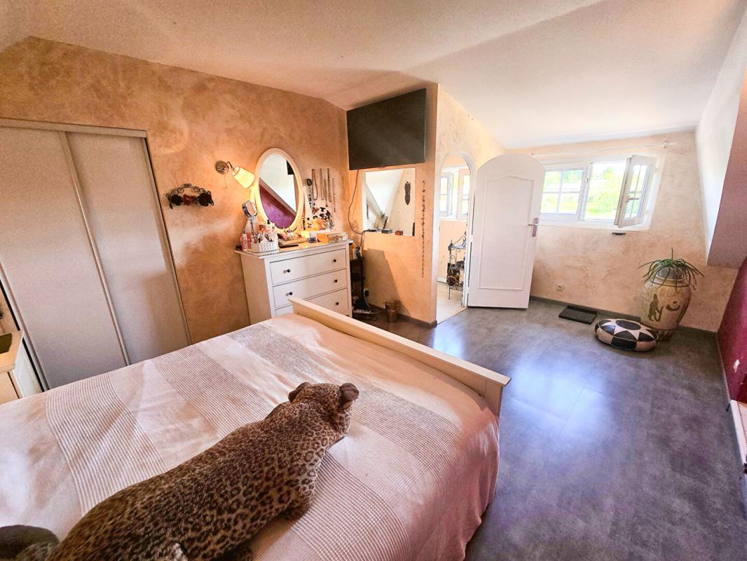 FRONTON Maison T5 - Fronton - Jardin arboré et Piscine 11