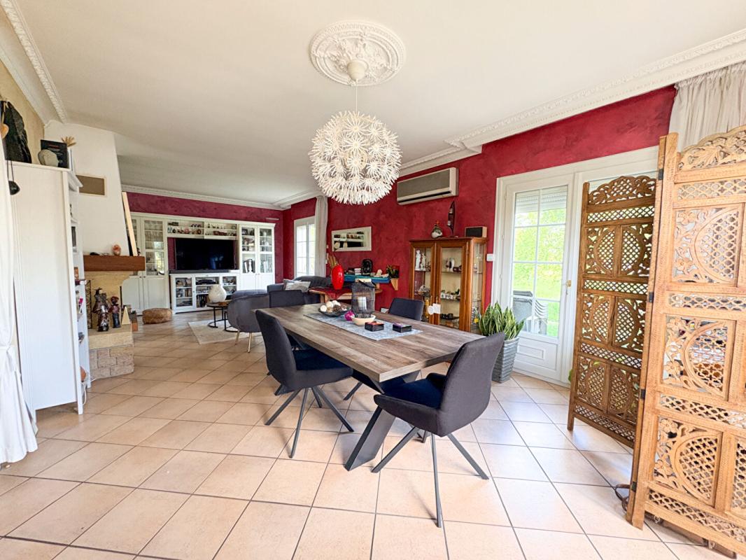 FRONTON Maison T5 - Fronton - Jardin arboré et Piscine 6