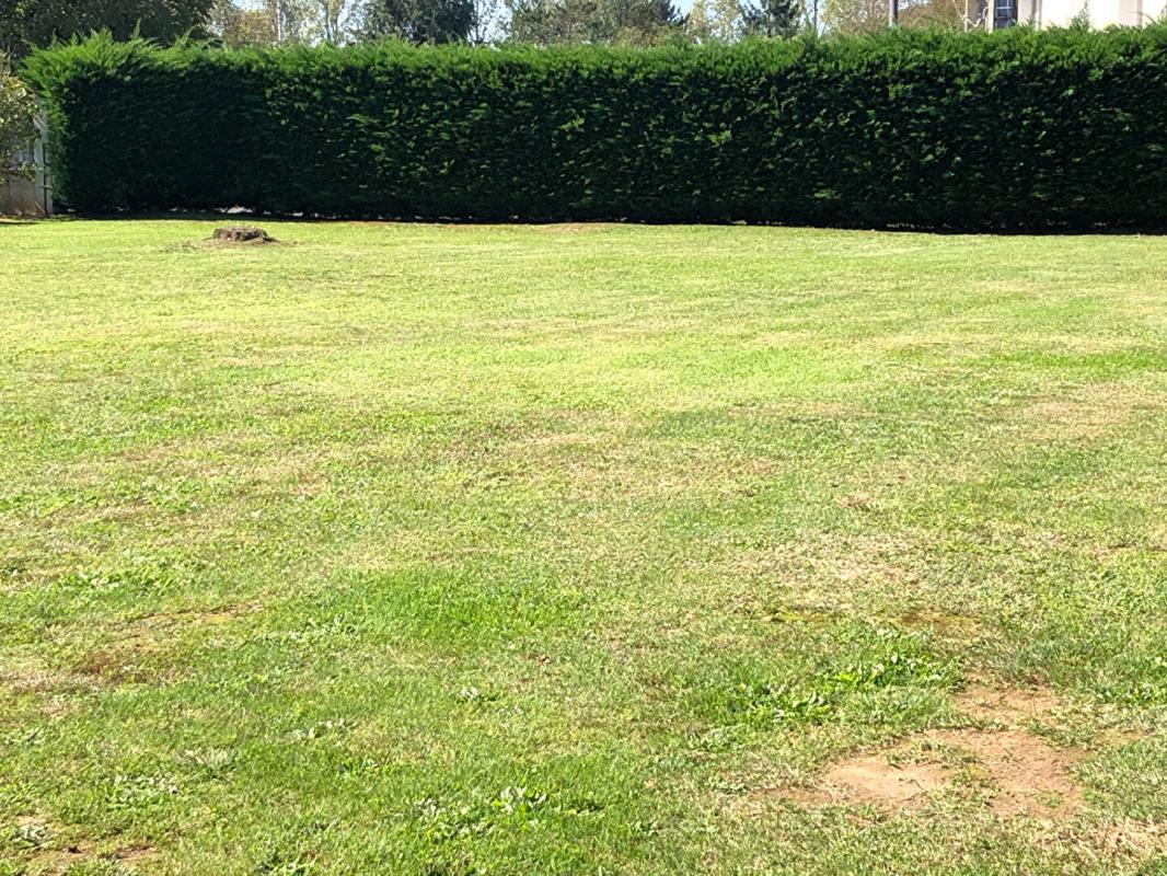 MONTIGNAC Terrain Montignac Lascaux 1052 m2 6