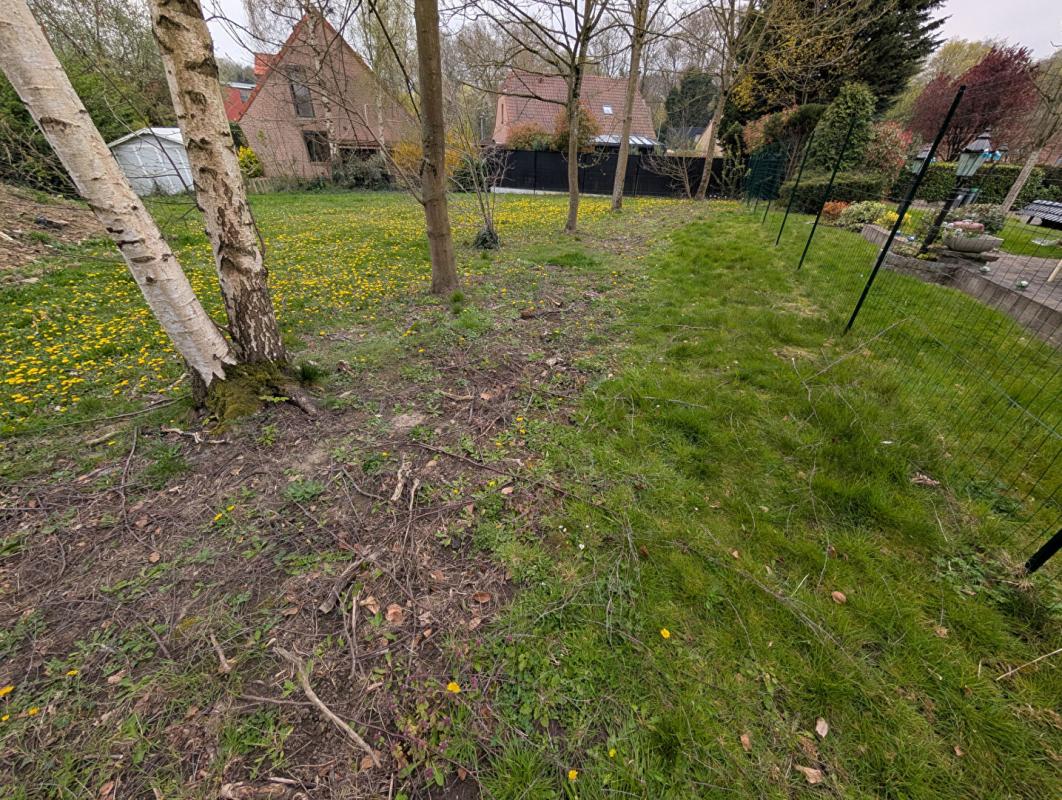 HAUBOURDIN Terrain Haubourdin 571 m2 6