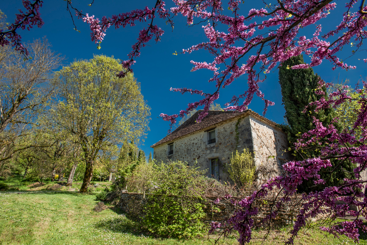 VILLEREAL Charmante Maison de campagne,+/-170m2, 4 chambres, piscine, 5676M2 jardin 2