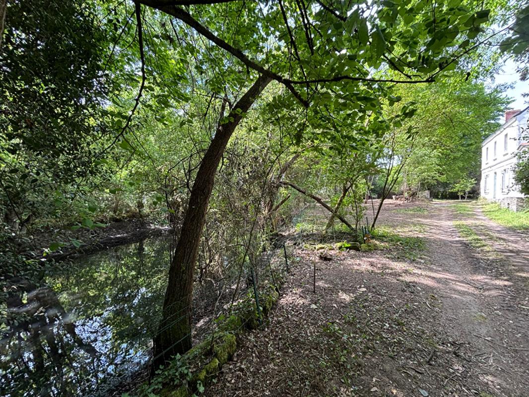 LA BOHALLE Maison bourgeoise au coeur des bors de Loire 6 pièce(s) 175m2 10