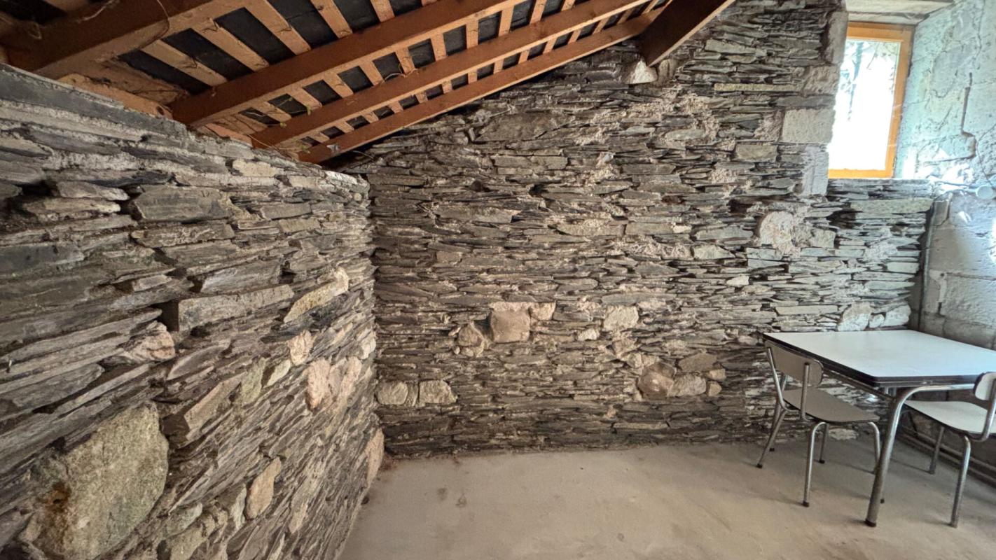 LA BOHALLE Maison bourgeoise au coeur des bors de Loire 6 pièce(s) 175m2 15