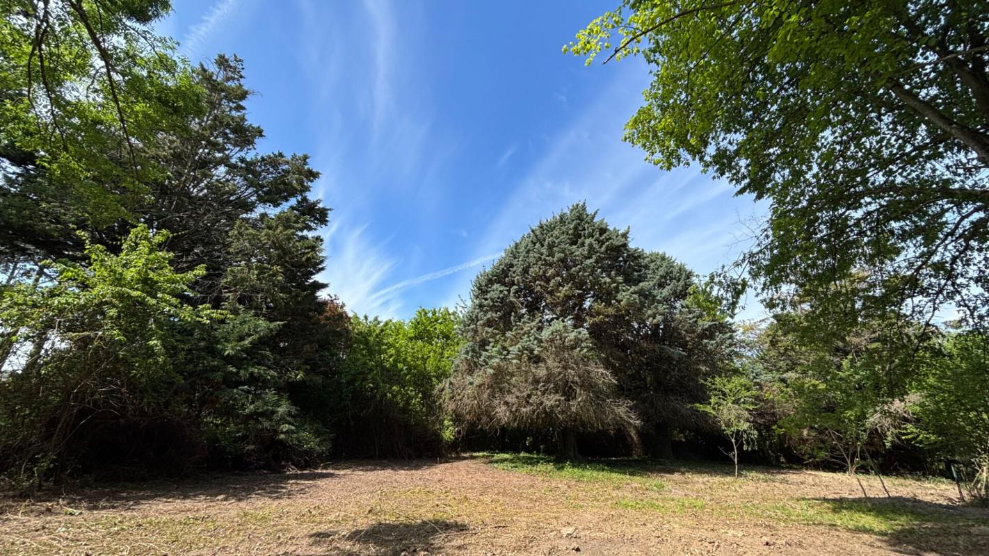LA BOHALLE Maison bourgeoise au coeur des bors de Loire 6 pièce(s) 175m2 4