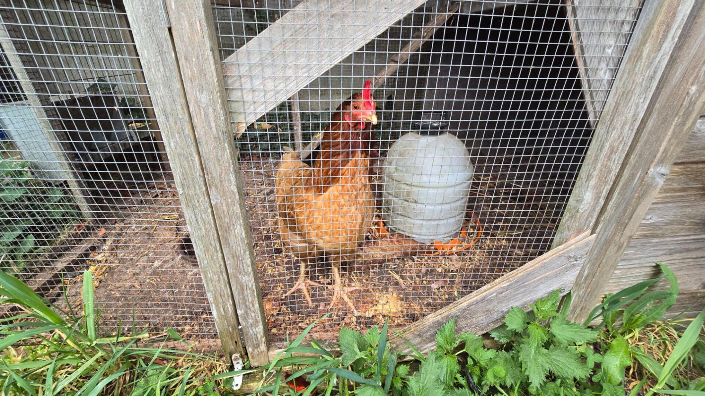 LUZARCHES À vendre - Maison familiale 7 pièces à Luzarches 18