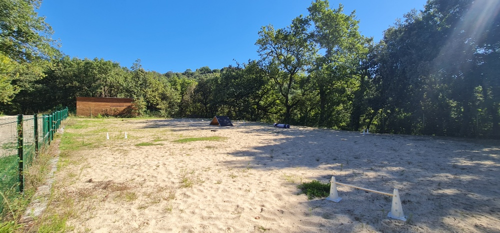 LAVAL-PRADEL Maison familiale 200 m² - 6 chambres - terrain 1 hectare au calme 18