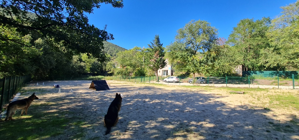 LAVAL-PRADEL Maison familiale 200 m² - 6 chambres - terrain 1 hectare au calme 3