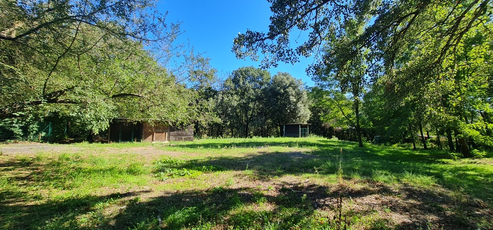 LAVAL-PRADEL Maison familiale 200 m² - 6 chambres - terrain 1 hectare au calme 4