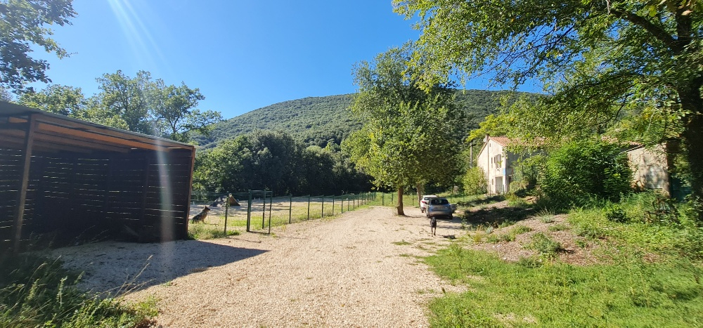 LAVAL-PRADEL Maison familiale 200 m² - 6 chambres - terrain 1 hectare au calme 5