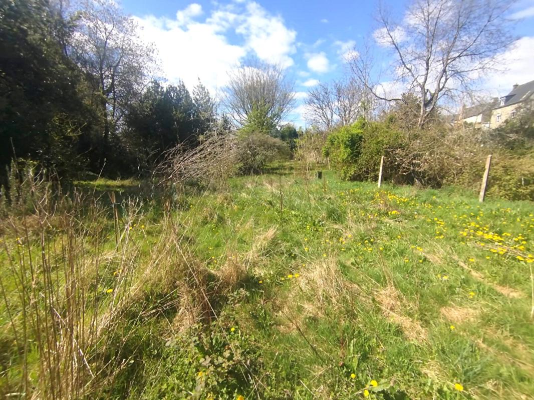 GUEMENE-SUR-SCORFF Maison de maître centre bourg avec terrains constructibles 14