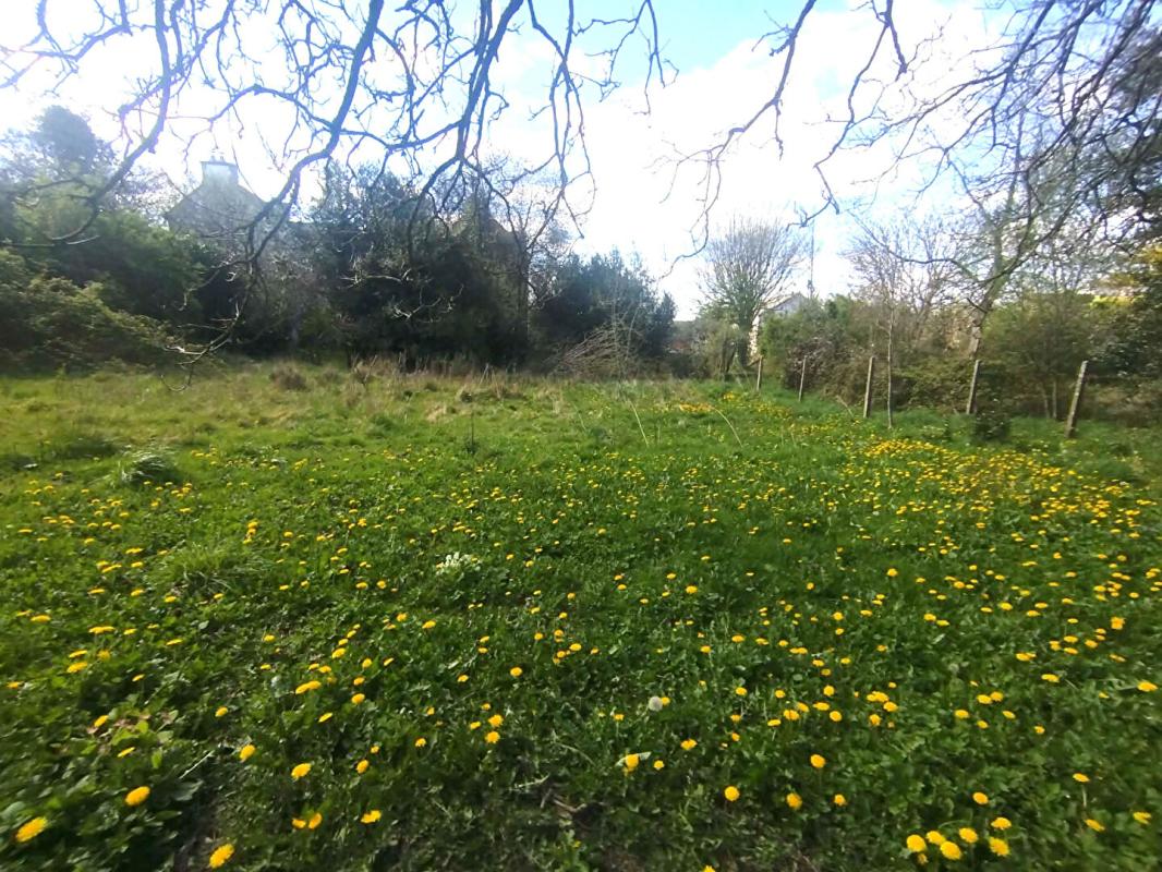 GUEMENE-SUR-SCORFF Maison de maître centre bourg avec terrains constructibles 15