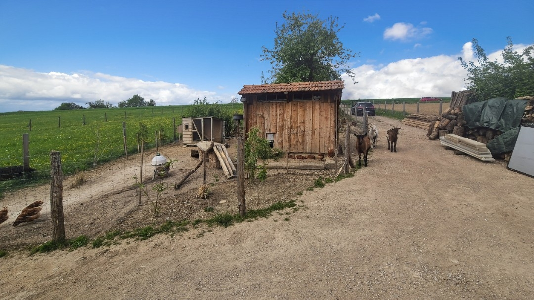 SOULTZ-SOUS-FORETS Terrain de loisir aménagé d'environ 3 000 m² Hoffen 5