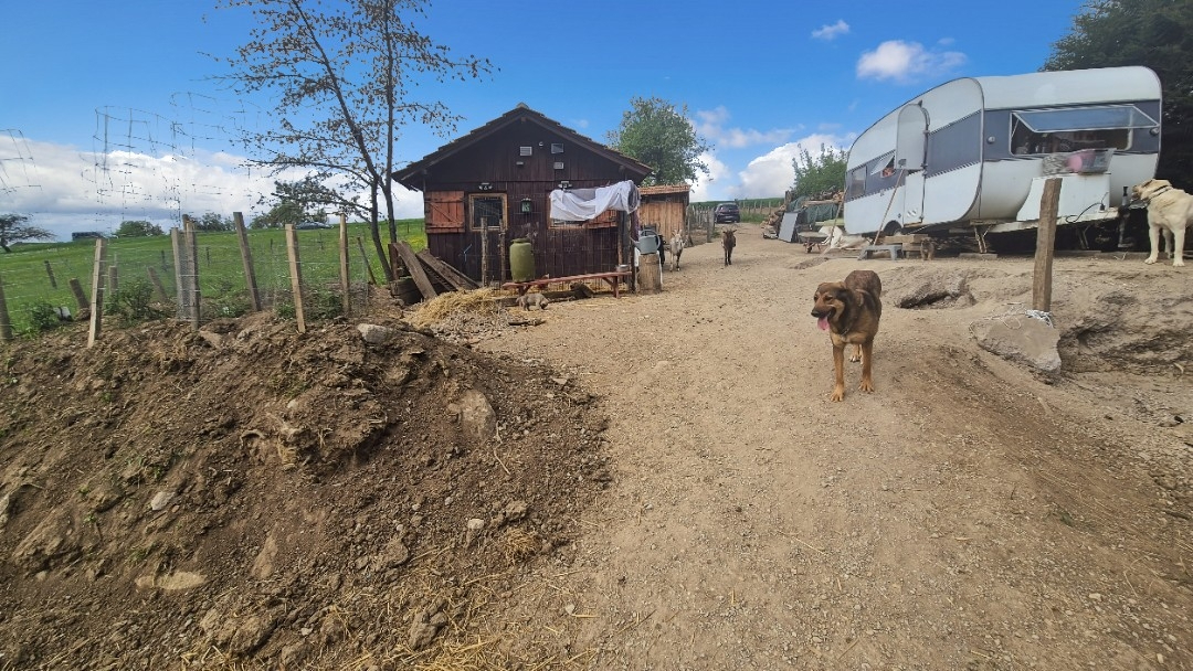 SOULTZ-SOUS-FORETS Terrain de loisir aménagé d'environ 3 000 m² Hoffen 6