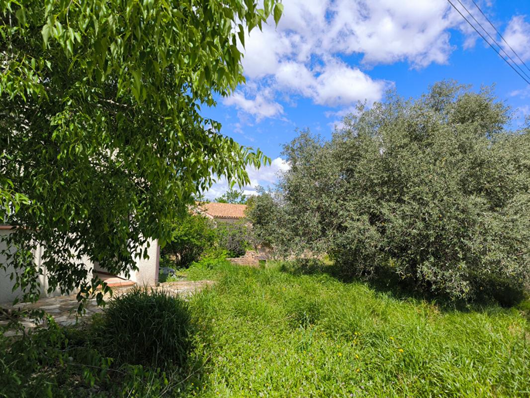 LEZIGNAN-CORBIERES Lézignan Corbières maison  familiale 4 faces /  900 m² 11