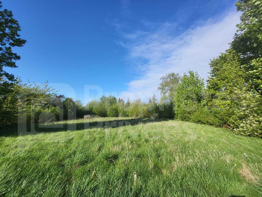 SERMAISES Maison avec un potentiel de surface exceptionnel 17