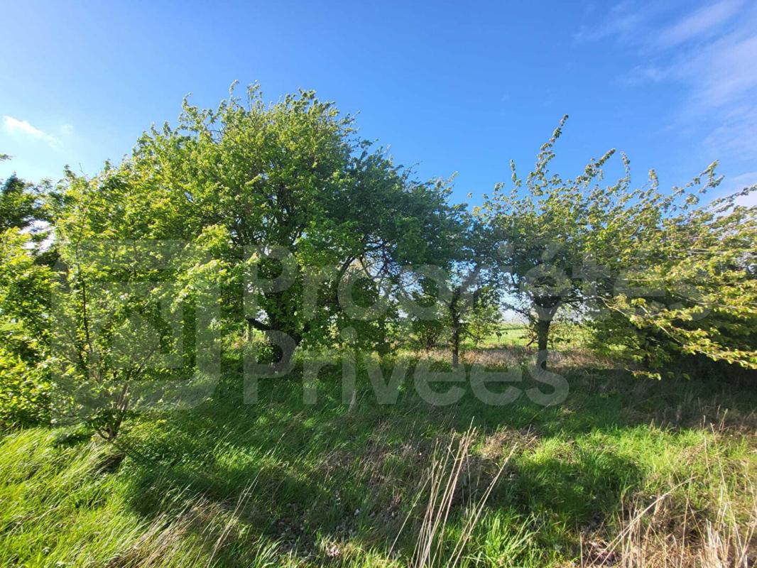 SERMAISES Maison avec un potentiel de surface exceptionnel 18