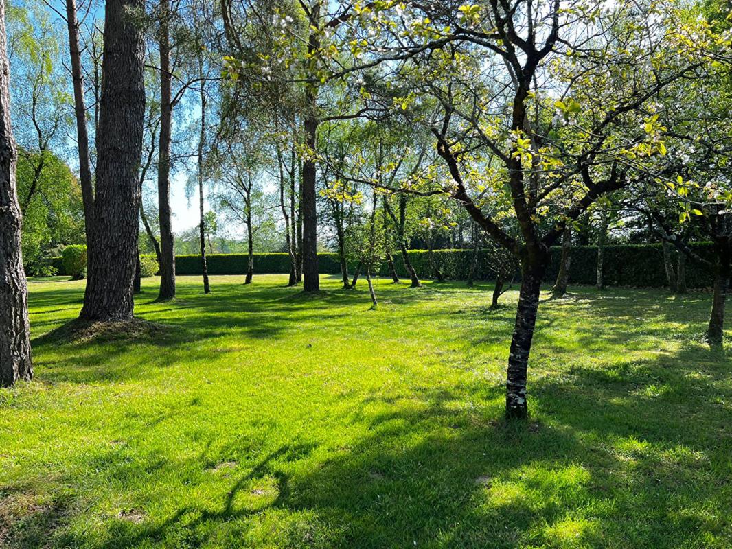 PLESSE Terrain Plesse 2800 m2 2