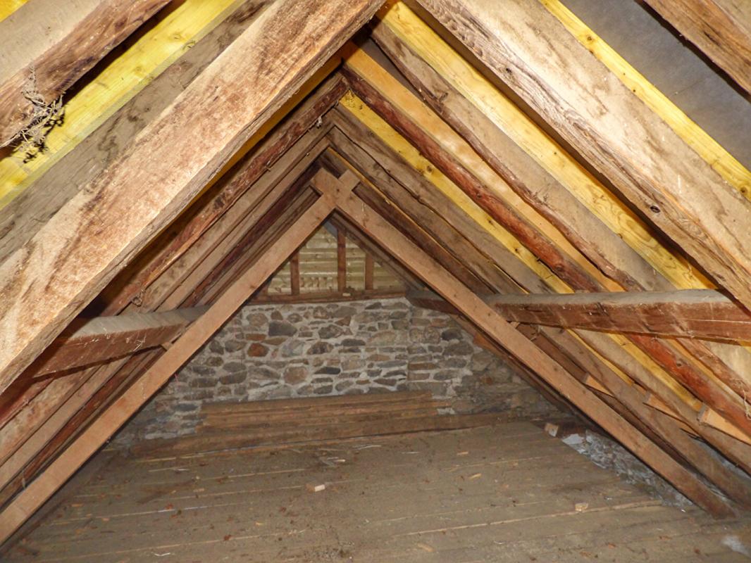 EAUX-BONNES Deux granges à rénover dans les montagnes Ossaloises 7