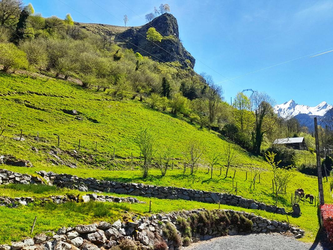 EAUX-BONNES Demeure de prestige en vallée d'Ossau 14