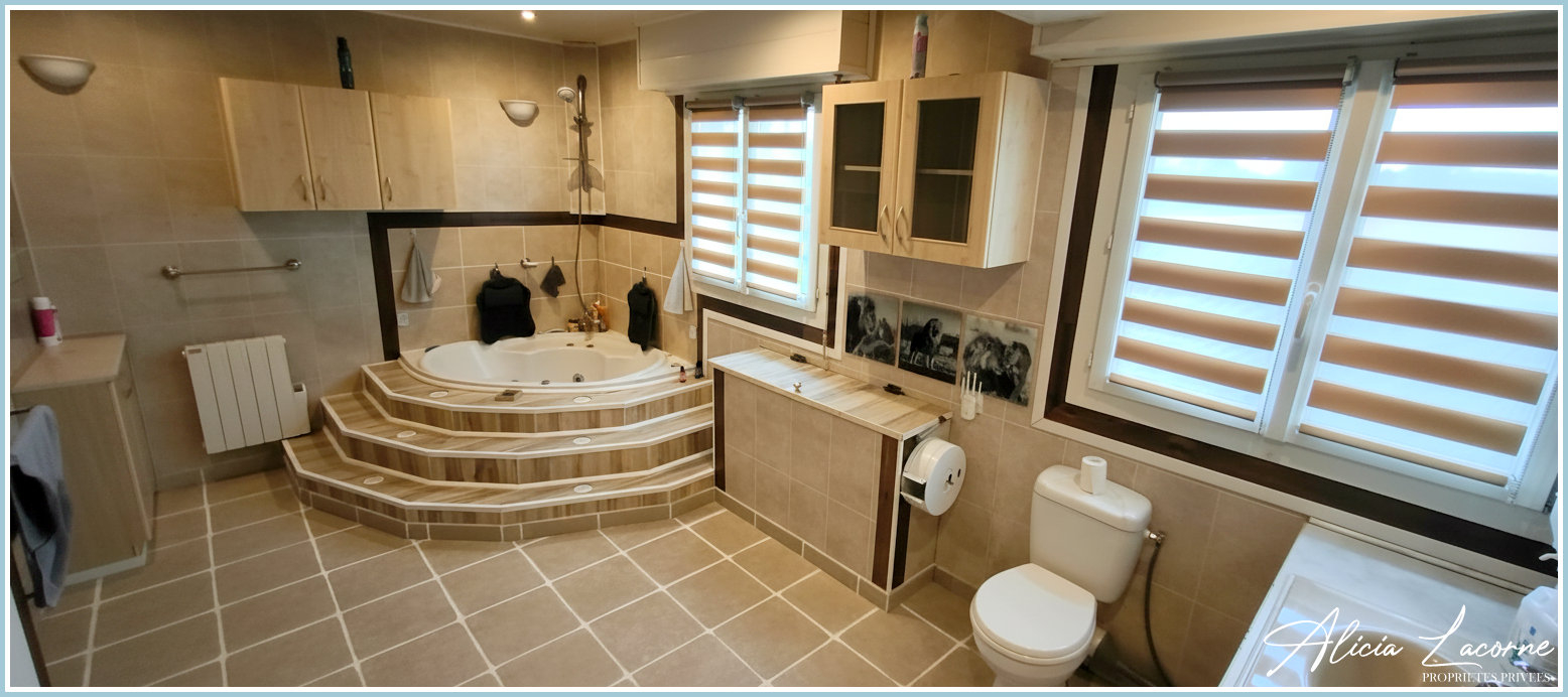 SAINT-SAUVEUR-D'EMALLEVILLE Maison St Sauveur D Emalleville 10 pièce(s) 295 m2 10