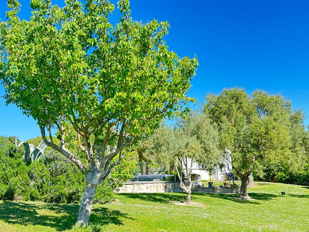 CHENAC-SAINT-SEURIN-D'UZET Maison  4 pièce(s) 90 m2 vue Estuaire 180 ° 7