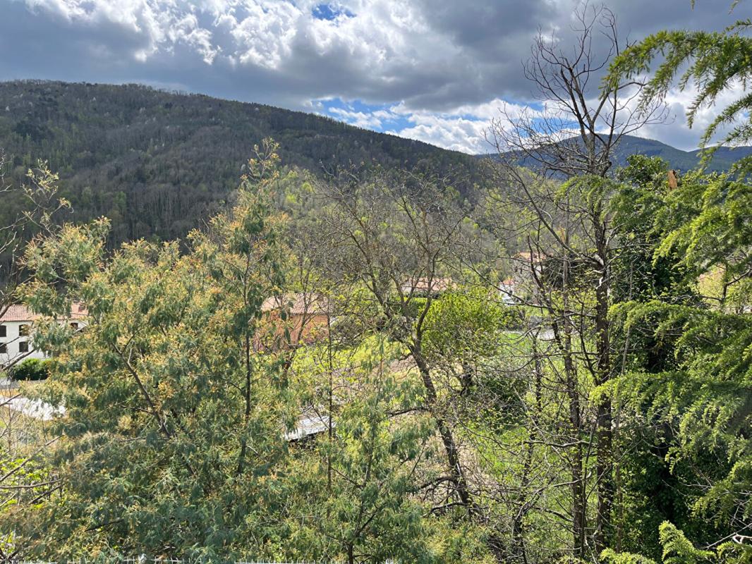 PRATS-DE-MOLLO-LA-PRESTE Maison familiale 5 pièces de 150 m2 sur près de 1 000 m² à Prats De Mollo La Preste 10