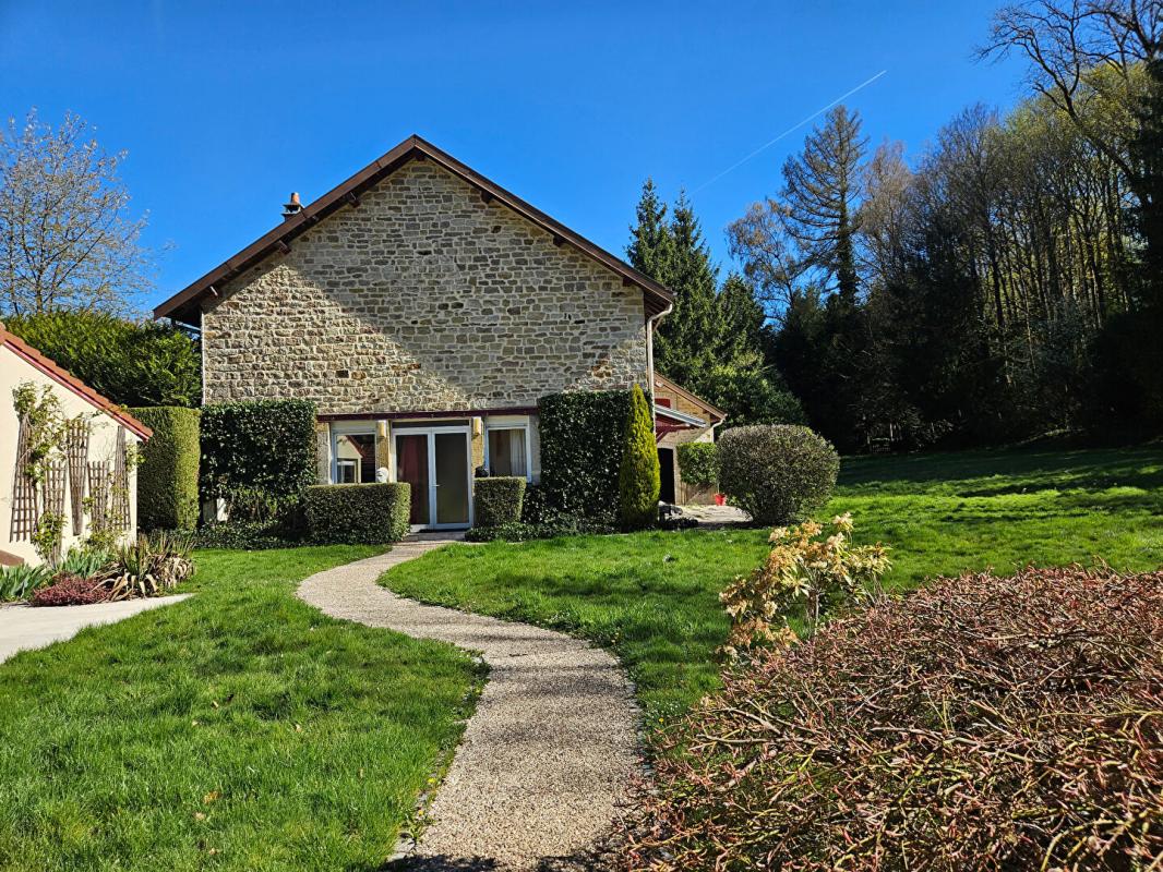 EPINAL Magnifique propriété arborée au coeur d'Epinal 16