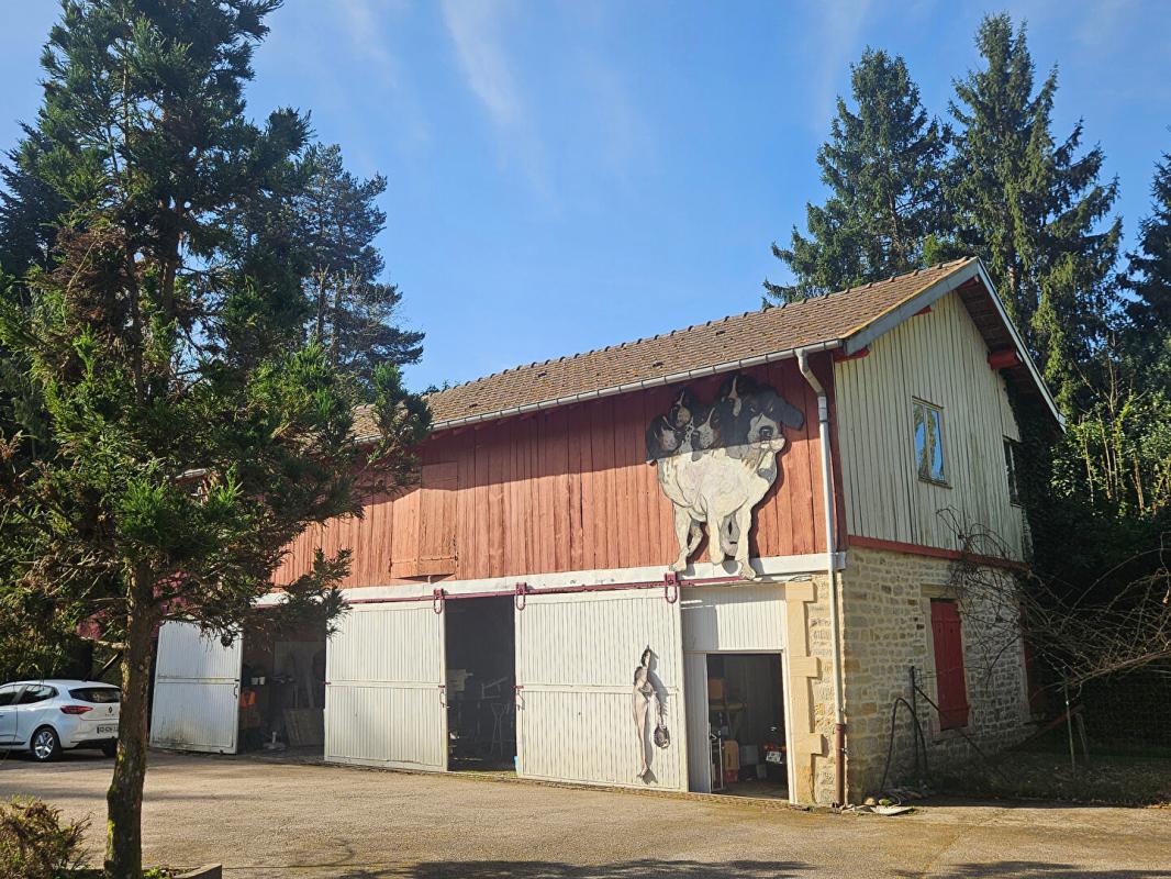 EPINAL Magnifique propriété arborée au coeur d'Epinal 18